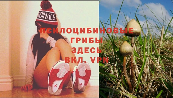 альфа пвп Нефтегорск