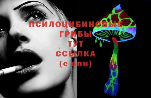 альфа пвп Нефтегорск
