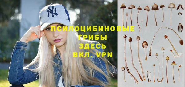 кристаллы Нея
