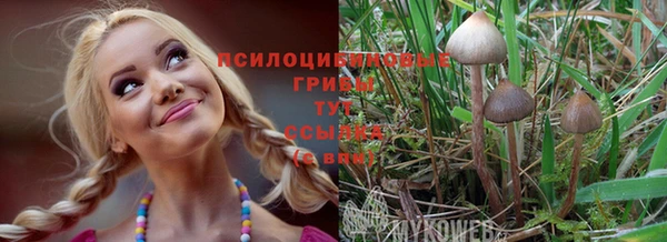 кристаллы Нея