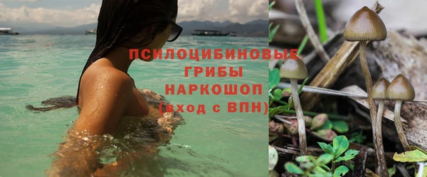 спиды Тобольск
