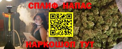 МДПВ Ставрополь