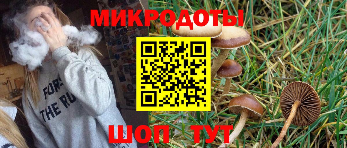 Псилоцибиновые грибы ЛСД  Вход с VPN  даркнет сайт  Стерлитамак  Галлюциногенные грибы Psilocybine cubensis 