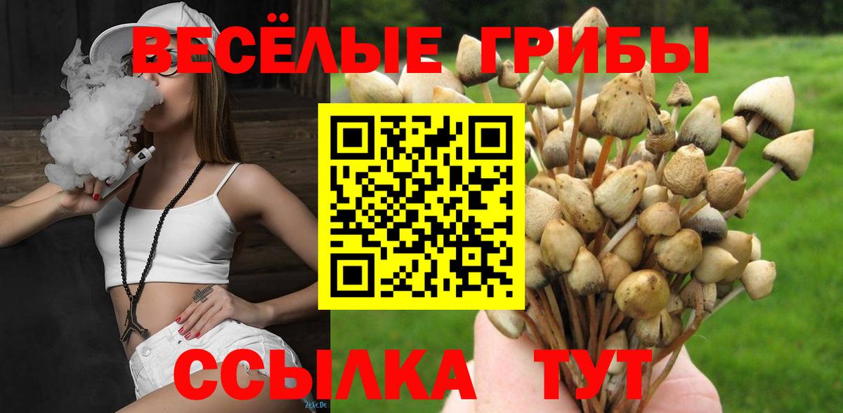 Галлюциногенные грибы Psilocybine cubensis Стерлитамак